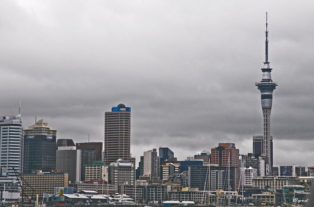 Downtown Auckland and Tower from Waitemata Harbour