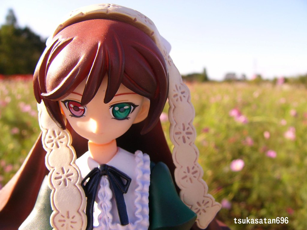 翠星石 Suiseiseki From Rozen Maiden At Omiya Hananooka Park S Flickr