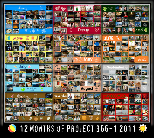 12 Months of Project 366-1 2011