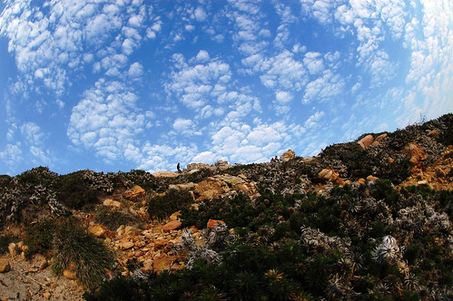 Cape Town