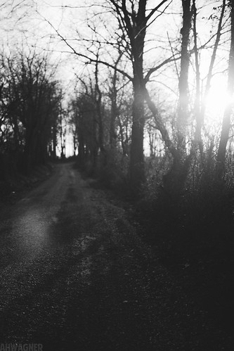 road trees sunset blackandwhite bw sun nature 35mm canon eos blackwhite dof bokeh f14 7d gravel 35l f14l blackwhitephotos