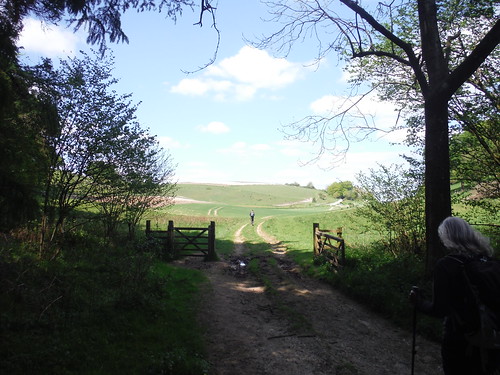 Emerging from Germanleith Copse Valley SWC Walk Rowlands Castle Circular - Extension
