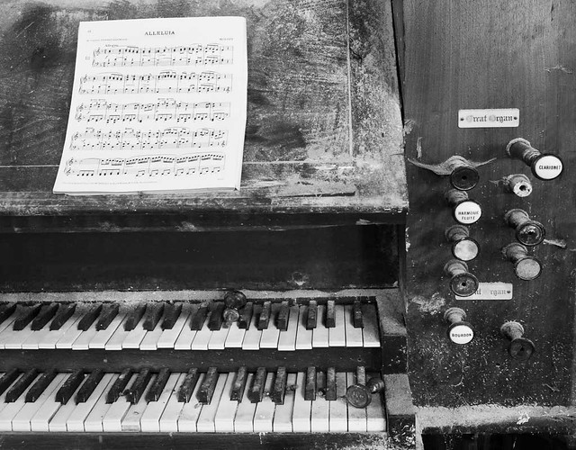 Abandoned-Organ
