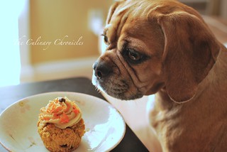 Bella's Birthday Puppy Cupcakes | by The Culinary Chronicles