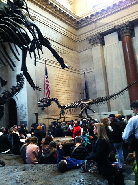 Busy Day at the American Museum of Natural History, New York City
