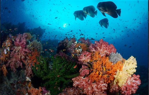 Indonesia