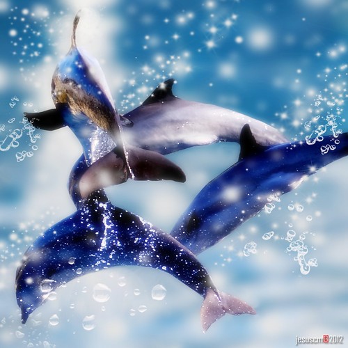 madrid blue water azul zoo aquarium agua nikon dolphins acuario delfines saariysqualitypictures jesuscm bestcapturesaoi flickrstruereflection1