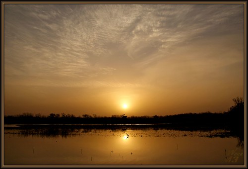 lake reflection nature water clouds sunrise golden texas brazosbendstatepark needville 40acrelake wanam3
