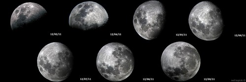 Moon Phases | by astrosneo