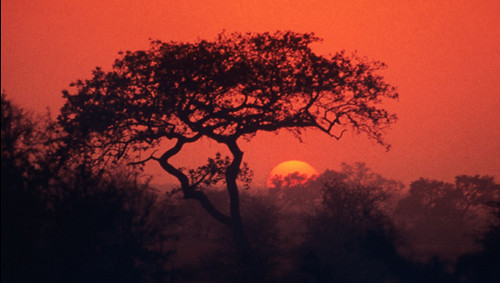kruger