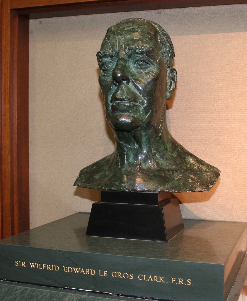 Bust of Sir Wilfrid Le Gros Clark in the Le Gros Clark Building, University of Oxford