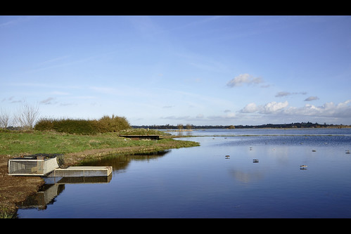 Le gabion - Marais de la Taute (2848) by Pascal Berger Photographie, Au cœur des marais, les gabions permettent aux chasseurs d'être à l'affût à l'abri des regards.

<a 