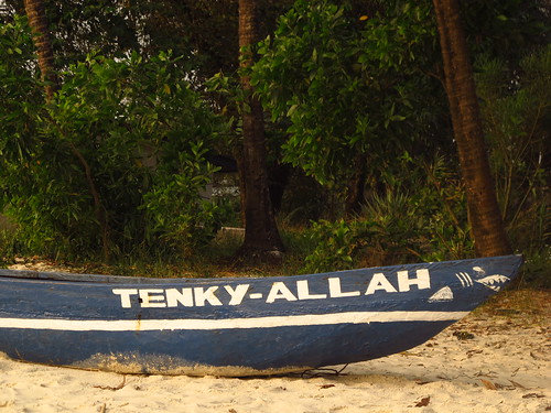 Tokeh Tokey Sierra Leone Freetown Peninsula West Africa