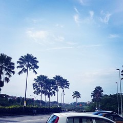 Beautiful sky.. no #jerubu #Alhamdulillah.. lama rasanya x nmpk warna biru di langit.   #skyblue #langitbiru