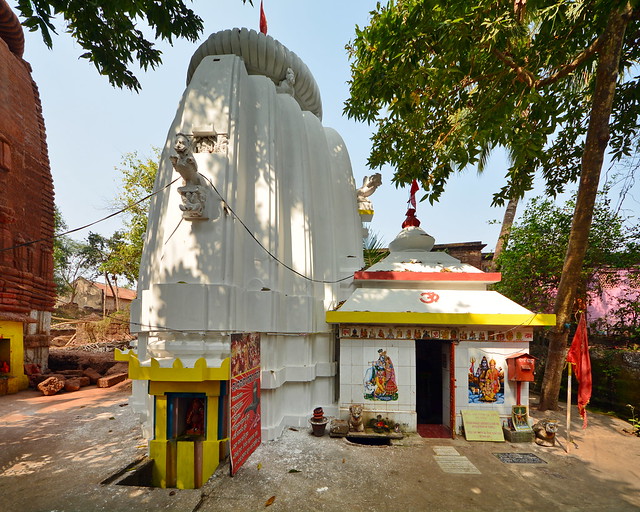 India - Odisha - Bhubaneswar - Bhabani Sankara Temple - 2