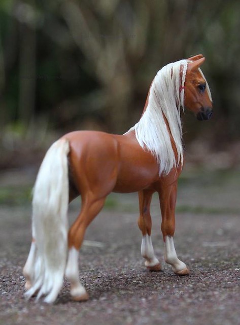 SM ASB Golden Boy | Repainted and haired model horse Scale 1 