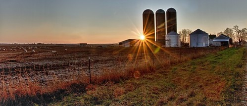 family autumn light sunset southwest fall canon golden three corn sheep feeding outdoor michigan farm grain bin silo pasture hour 7d kalamazoo rays agriculture shining grazing starburst pawpaw lawton 2011 1585 puremichigan w4nd3rl0st