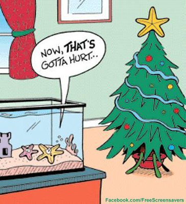Christmas Star Funny Picture - That's Gotta Hurt - Free Ch… | Flickr