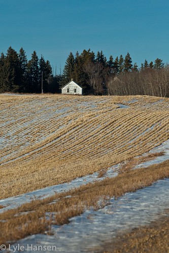 winter field lines landscape alberta 2011