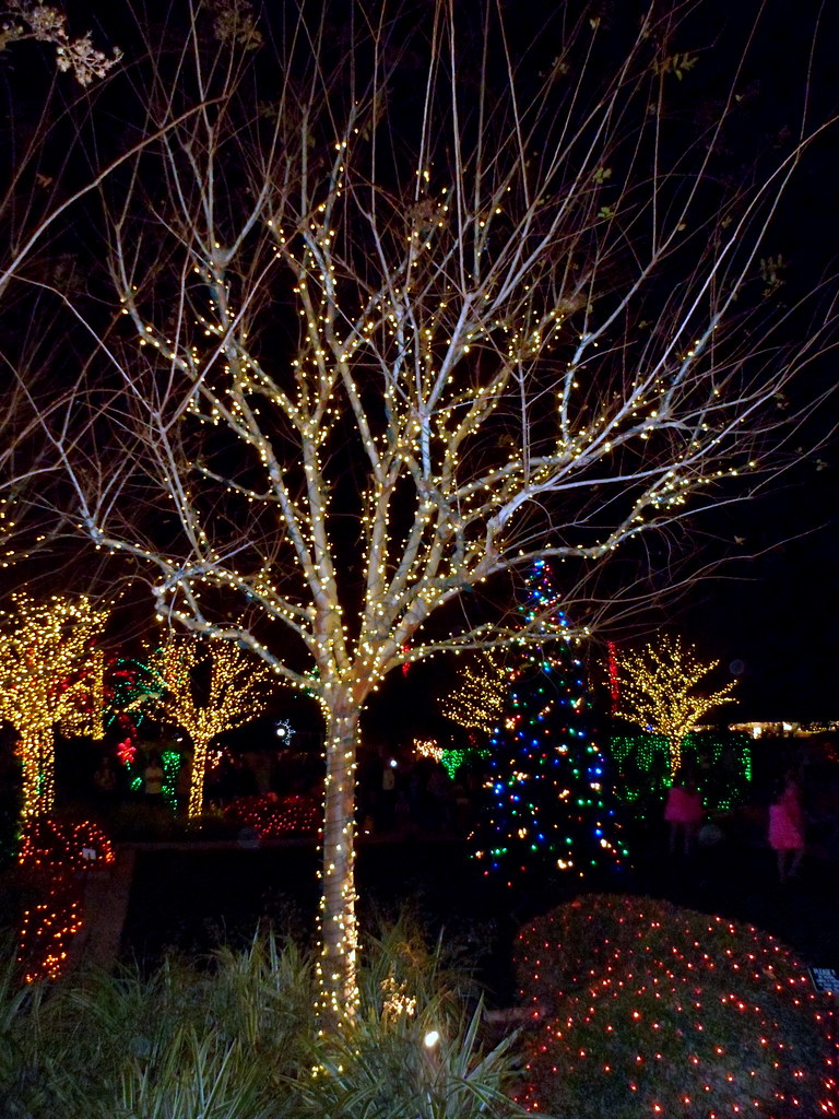 Largo Florida Botanical Gardens Holiday Lights In The Flickr