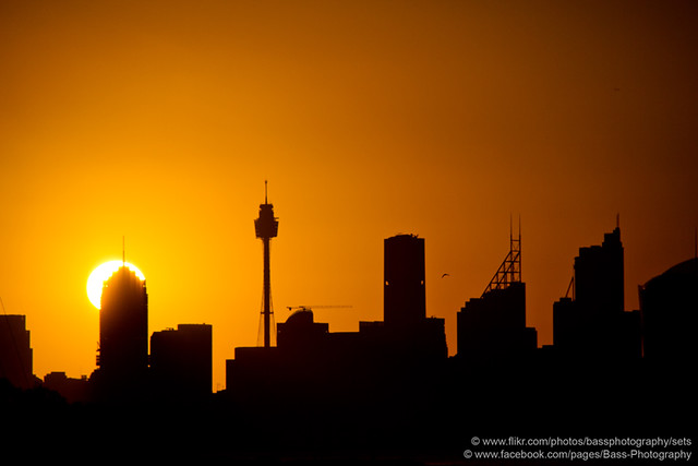 A Sydney Sunset