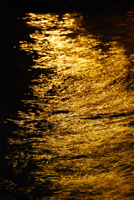 Venice - Liquid Gold on the Grand Canal