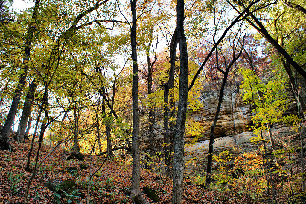 Starved Rock 145 Oct 23 2011