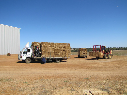 Truck and Trailer with Straw Bales in Arthur River - Strawbale House Build in Redmond Western Australia | by Red Moon Sanctuary