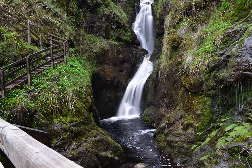 ireland beautiful waterfall woods natural ngc northernireland