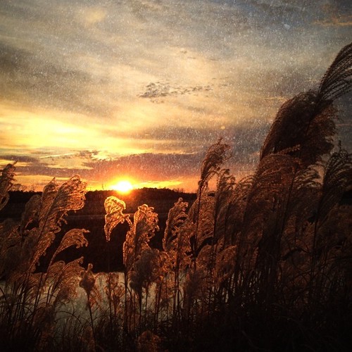 fifteen [thirty-one days of december] by heather.dyan, cameraphone sunset apple december delaware 4s iphone
