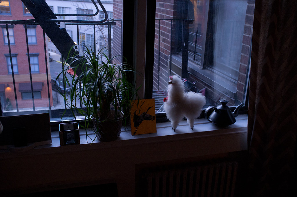 Window sill with a potted plant, plush llama, bird print, and teapot looking out onto a fire escape.