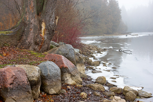 River Mist-00510