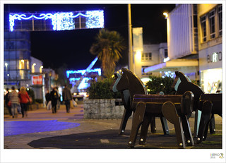 DSC_5001Merry Christmas to Plymouth