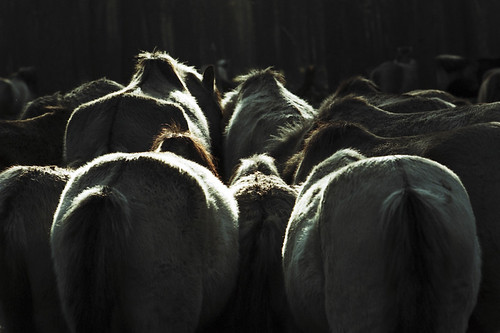 Backside | by M.Wißmann
