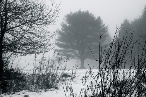 Pathway | by halifaxlight