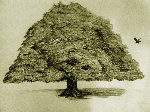 Tree drawing | by Ryan-Lee Hollis