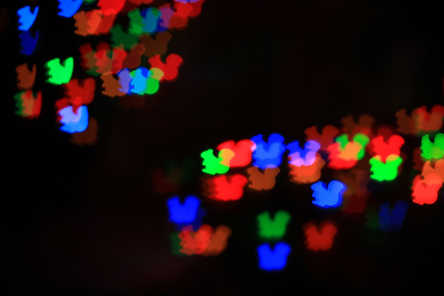 Bokeh effects Christmas lights 9821