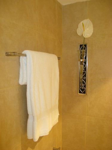 bathroom towel rack | by The Club Med