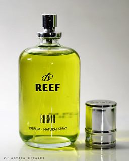Perfumes reef Coral Reef