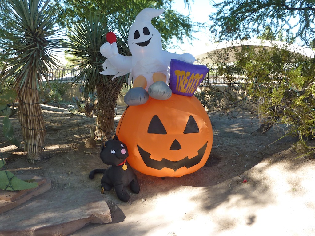 Halloween At Ethel M Cactus Garden Lottobabe Flickr