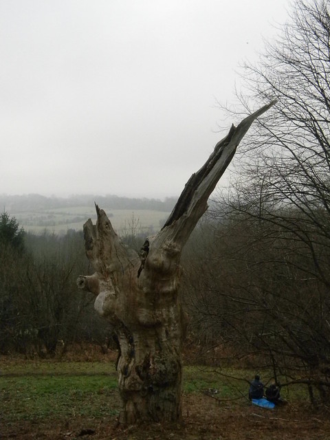 View with stump Hayes to Knockholt