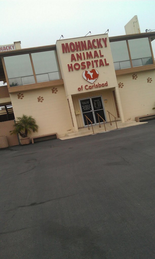 Mohnacky Animal Hospitals | Mohnacky Animal Hospital of Escondido | Flickr