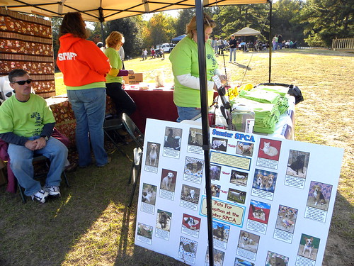 Mutt Strut 2011 | by Sumter County SPCA