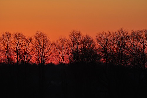 trees ontario sunrise geotagged farm picton