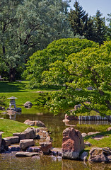 NikkaYukoGarden -- Trees And Pond