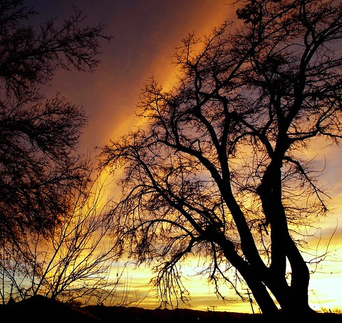 Light Strike | by Ph0tomas