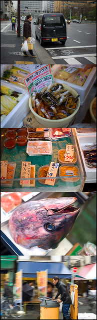 Tokyo Tsukiji Seafood Market Collage- Mar-2012