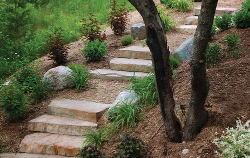 Steps 4 | by whitemudgardens1