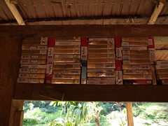 Cigarette collection