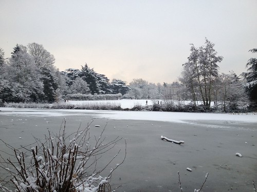 A very Frozen Froebel Lake